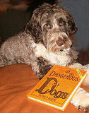 Cocoa